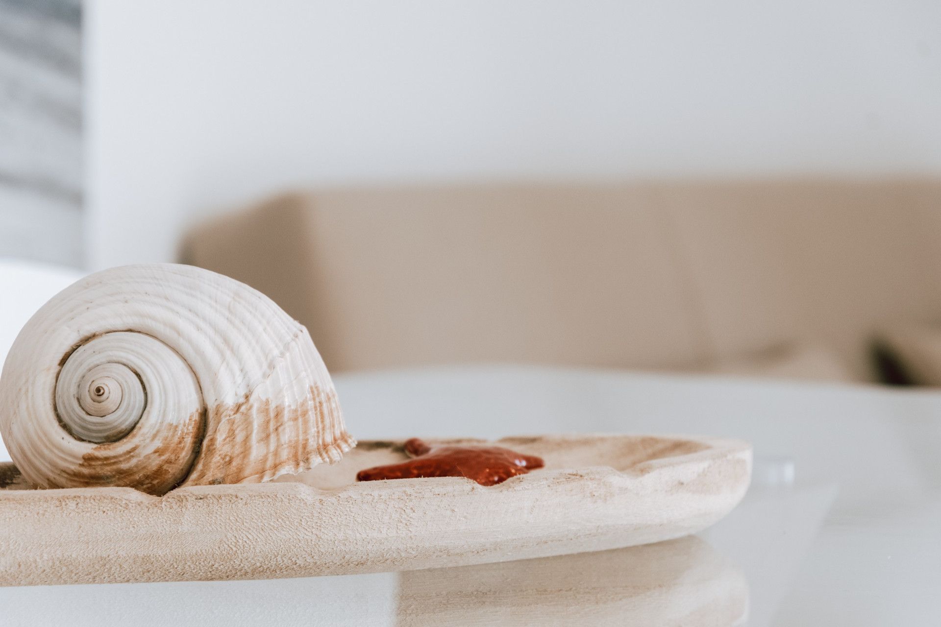 conchiglia sul tavolo della suite Blu del B&B Incanto di Luna vicino al mare di Vieste nel Gargano in Puglia vista Pizzomunno