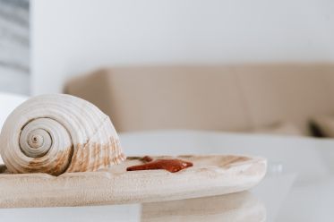 tavolo con conchiglia appartamento Blu Suite del B&B Bed and Breakfast vicino al mare di Vieste Incanto Di Luna