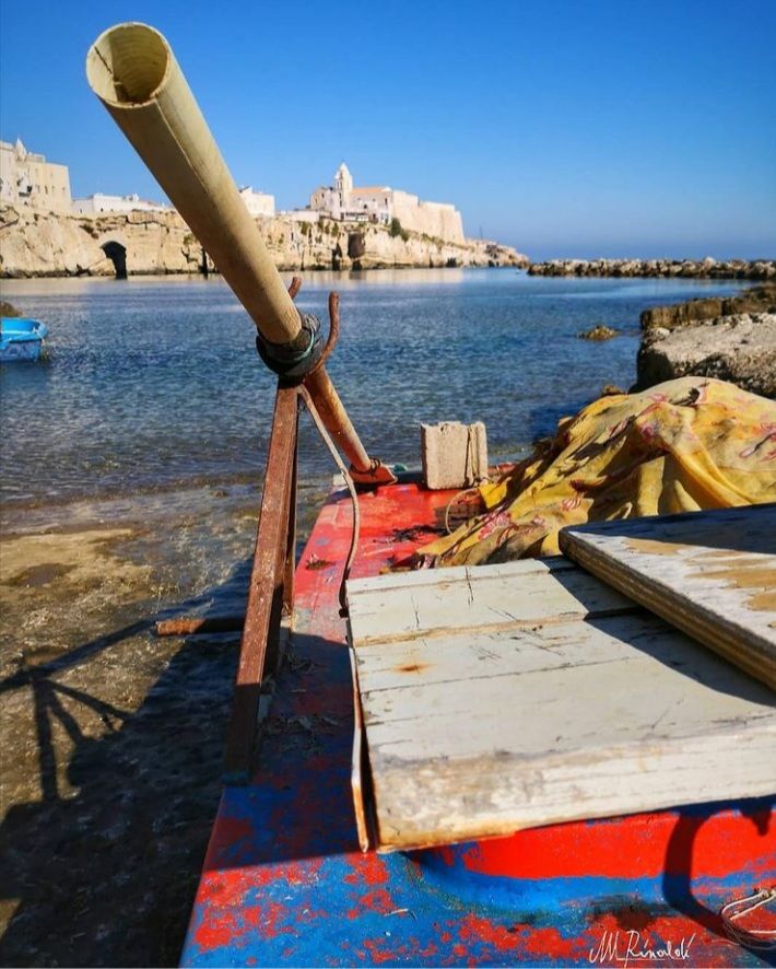 Pesca Locale In Pedalo Baia Centro Storico Tradizioni Pescatori Porto Naturale Nel Centro Storico Di Vieste Puglia